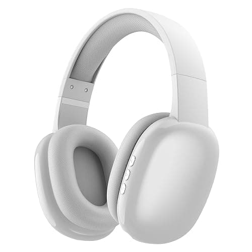Gabba Goods Wireless Over Ear Bluetooth Headphones with Microphone - Wireless Headset -Noise Reduction - Bluetooth, Wired,Built in Micro SD for Travel, Home, Work TV,PC,Gaming,Cellphone (Silver) - Image 1