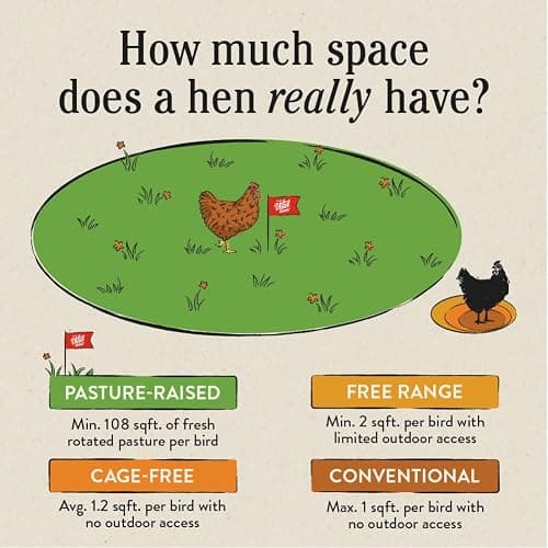 Vital Farms Pasture-Raised Large Eggs 6ct thumbnail 5