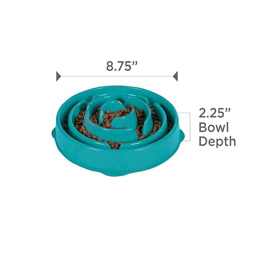 Outward Hound Medium Slow Feeder Bowl, Puzzle Maze for Fast Eaters, Small to Medium Dogs, Helps Prevent Bloat & Aid Digestion, Holds 2 Cups Wet or Dry Food, Non-Slip, Made Without BPA, Turquoise thumbnail 7