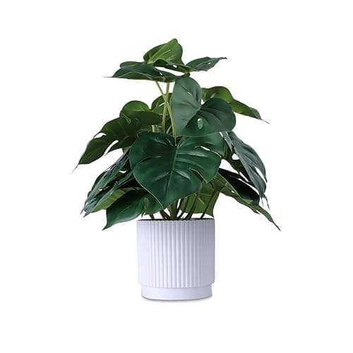 HOFMEFY Artificial Monstera Potted Plant Realistic Fake Plants Home Greenery Table Decor with White Ridged Plastic Pot 31CM Tall Fake Tropical Palm Tree Bigger Leaves - 10in - Image 1