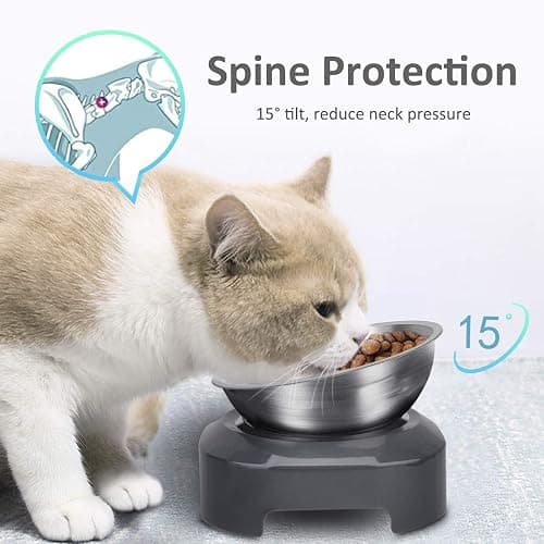 AYADA Raised Cat Food Bowl, Stainless Steel Cat Dish for Food Water Anti Vomiting Elevated with Stand Ergonomic Lifted Slanted Tilted 15 Angle Metal Single Kitty Kitten Wet Food Bowl Pet Bowl thumbnail 3