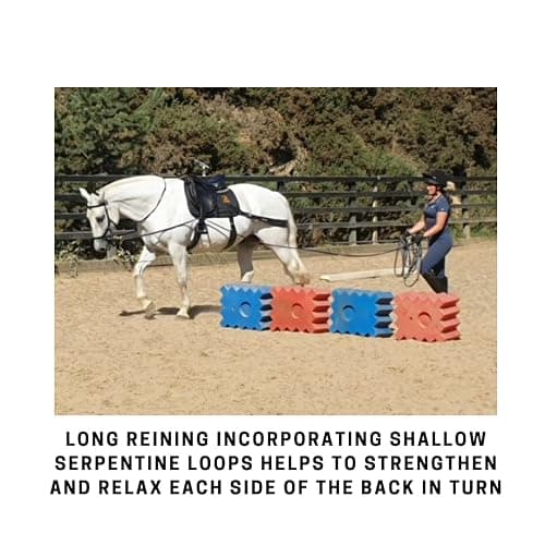 Equine Balance Bands Equine Band System - Core Training Aid for Horses. Saddle Pad and Equibands System thumbnail 9