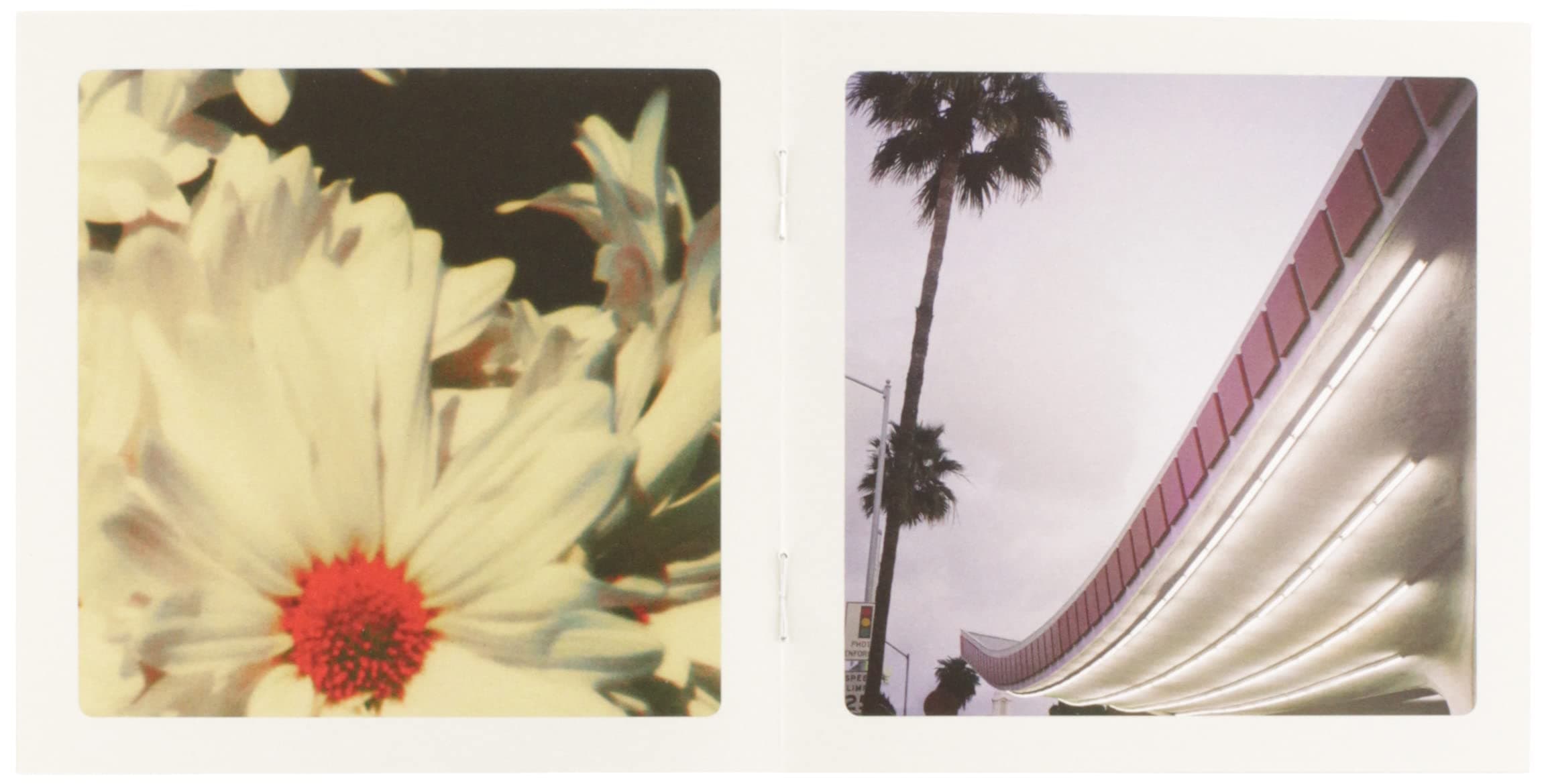 LUST FOR LIFE - LANA DEL REY thumbnail 4