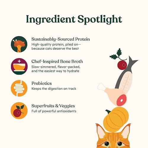 Made by Nacho Pate Wet Cat Food Variety Pack, Chicken, Salmon, and Turkey, 5.5 Ounce Cans, Grain-Free Canned Pet Food, Bone Broth Infused for Hydration, Limited Ingredients, 12 Pack thumbnail 4