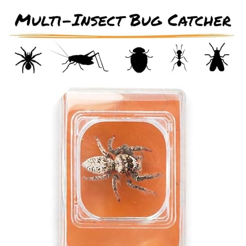 Portable Magnifying Glass Insect Trap thumbnail 6