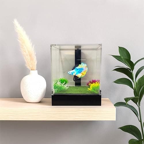 Showcase Holograms - Hologram Fish Tank | Holographic Aquarium with Moving Fish | Plug & Play, Lightweight & Durable | Perfect for Home, Office, Business or Gifts thumbnail 6