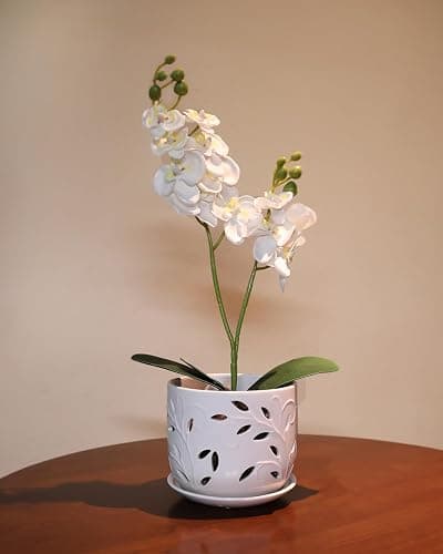 EFISPSS Orchid Pot with Holes, 5+6Inch Ceramic Plant Pots with Drainage Holes and Tray, Promoting Air Circulation and Drainage, Indoor/Outdoor White Flower Pots thumbnail 7