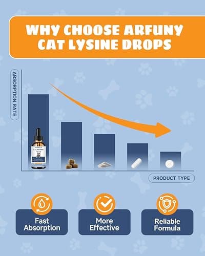 SANTKOL L-Lysine Supplement for Cats - Immune Support - 60ML Lysine for Feline Respiratory, Sneezing, Runny Nose, Eye Function - Natural Cat Antibiotic Drops - Roast Chicken Flavor thumbnail 8