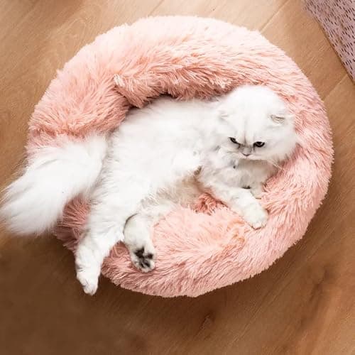 Soft Bed for Kitty 🐈‍⬛  thumbnail 5