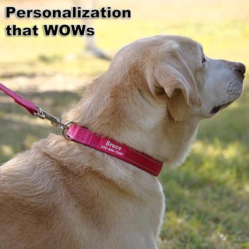 Personalized Dog Collars Custom with Pet Name and Phone Number, Soft Neoprene Padded Reflective Nylon Collar, 4 Adjustable Sizes - for Boy, Girl Dogs thumbnail 4