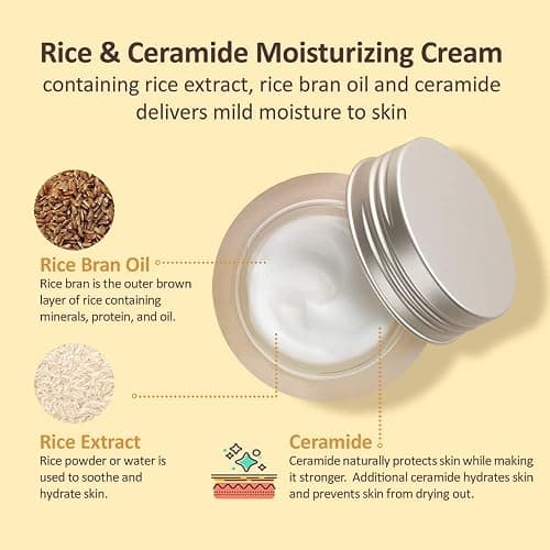 The Face Shop Rice Ceramide Moisturizing Cream - Rice Extract + Rice Bran Oil - Hydrating Targets Dryness, Brightening - Dermatologically Tested - Lightweight Moisturizer Face Cream - Korean Skin Care thumbnail 3