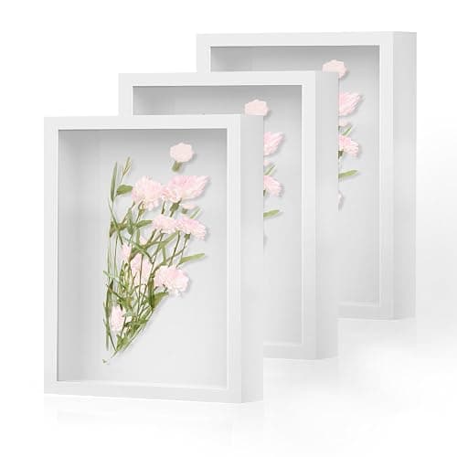 Shadow Box Frame 8x10 - 3 Pack Wood Deep Shadowbox with Glass Shadow Boxes Display Cases Suitable for Photos, Dried Flowers, Handicrafts Picture Frames for Wall (White) - Image 1