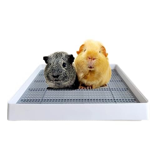 PODOO Rabbit Litter Box – Training Potty Tray for Guinea Pig & Small Pets · Spacious Grid Pan with Low Entrance, Easy-Clean & Odor-Resistant—Helps Keep a Clean Cage and Reduce Mess - Image 1