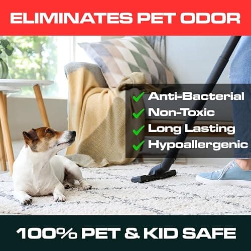 Ripclean Carpet Deodorizer & Freshener Cleaning Powder, Odor Eliminator for Strong Odors & Homes w/Pets, Safe around Kids & Pets, Use on Carpet, Rugs, Upholstery & More (16 Ounce, Lemon) thumbnail 4
