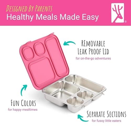Elk and Friends Kids Stainless Steel Bento Box with Silicone Lid | Leak-Proof | Toddler Lunch Container | 4 Compartments | Dishwasher Safe thumbnail 6