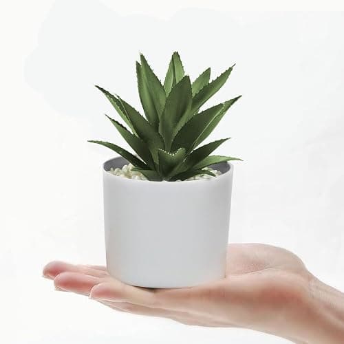 Hopewood Succulent Plants Artificial in White Pots Small Faux Potted Succulents Fake Plants in Vase Set of 3 thumbnail 5
