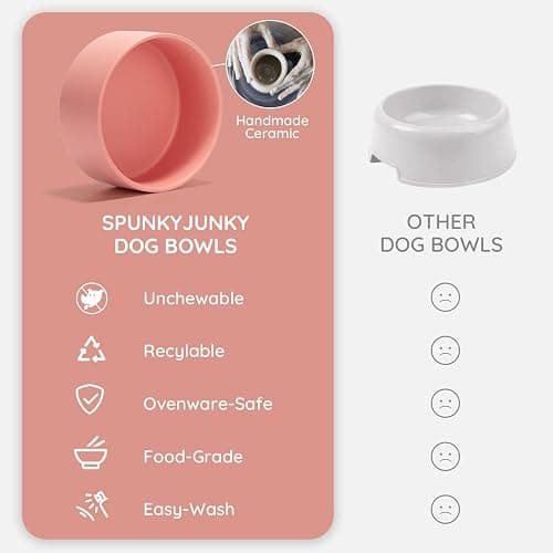 SPUNKYJUNKY Ceramic Dog and Cat Bowl with Wood Stand Non-Slip Matte Glaze Weighted Food Water Set for Cats &Small Dogs 13.5 OZ thumbnail 7