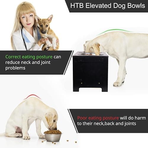 HTB Elevated Dog Bowls,Raised Dog Bowl Stand with 2 Stainless Steel Bowls,Elevated Raised Dog Bowls for Large Medium Small Sized Dogs thumbnail 6