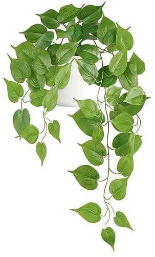 Mkono Fake Hanging Plants with Ceramic Pot, 25" Artificial Plants for Home Decor Indoor Faux Green Leaf Plant with Modern White Planter for Desk Shelf Bathroom Decoration (Pothos) (Green) - Image 1