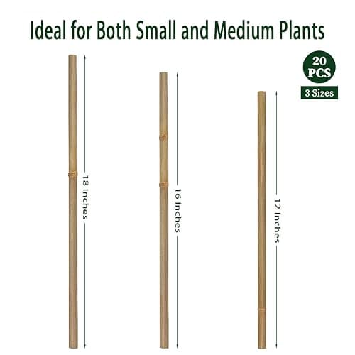 Plant Stakes,18 Inches Natural Garden Bamboo Sticks,BOVITRO 20Pcs Plant Support Stakes for Tomatoes,Beans,Vegetable and Potted Plants thumbnail 3