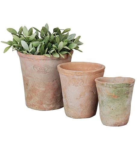 Terracotta Pots - Image 1