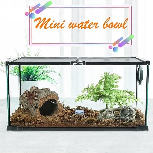 6 Pcs Spider Micro Water Bowl Mini Ceramic Dish for Spider Tarantula Millipede Tiny Reptile (Small: 0.86" D, 0.43" H) thumbnail 2