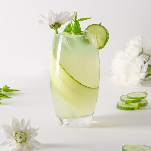 6X 510ml Hiball Glasses - 'Tondo' Range - Modern Highball Cocktail Juice Water Tall Drinking Tumblers - Dishwasher Safe - by Argon Tableware thumbnail 2