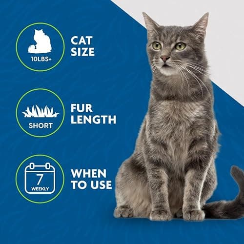 FURminator deShedding Tool For Medium/Large Cats, Short Hair, Removes Loose Hair From Shedding thumbnail 4