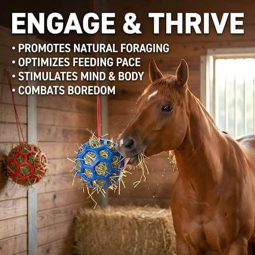 DAFORERAL Farm Stall Hanging Feeder Toy Ball for Horses, Goats, Sheep – Durable TPR Feeding Ball, Hay Feeder for Animal Enrichment, Stretch-Resistant Design (Pink) thumbnail 3