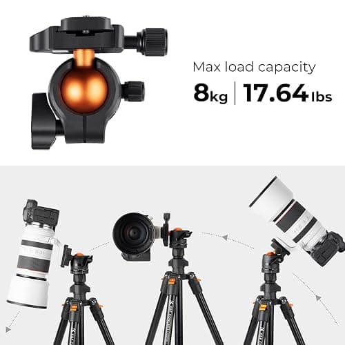 K&F CONCEPT 64 inch/163 cm Camera Tripod,Lightweight Travel Outdoor DSLR Tripods with 360 Degree Ball Head Load Capacity 17.6 lbs/8 kg,Cellphone Clip for Smartphone Live Streaming Vlog O234A1+BH-36 thumbnail 4