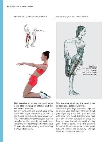 Delavier's Stretching Anatomy thumbnail 5