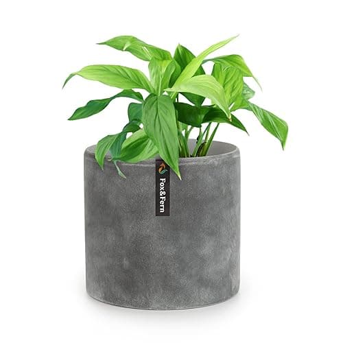 Fox & Fern 8 Inch Plant Pot