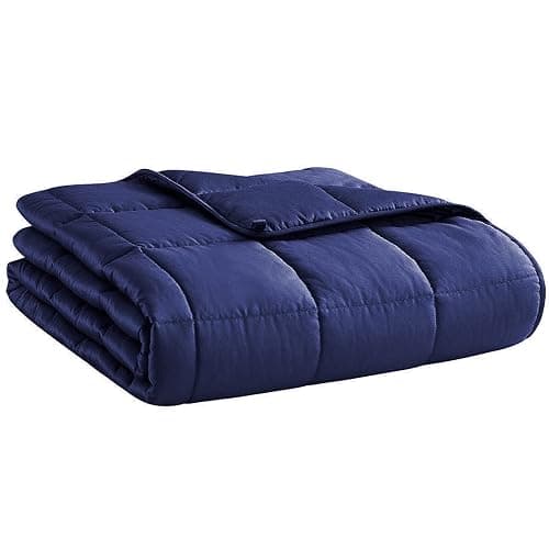 L'AGRATY Weighted Blanket - 48"x72" 15lbs Cooling Breathable Heavy Blanket Microfiber Material with Glass Beads for Adult All-Season Summer Fall Winter Soft Thick Comfort - Image 1