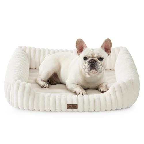 COZY KISS Orthopedic Dog Bed for Small Dogs & Medium Dogs - Washable Rectangle Pet Bed with Anti-Slip Bottom, Soft Calming Cat & Puppy Bed for Indoor Pets (30"x23"x7", Cream) - Image 1