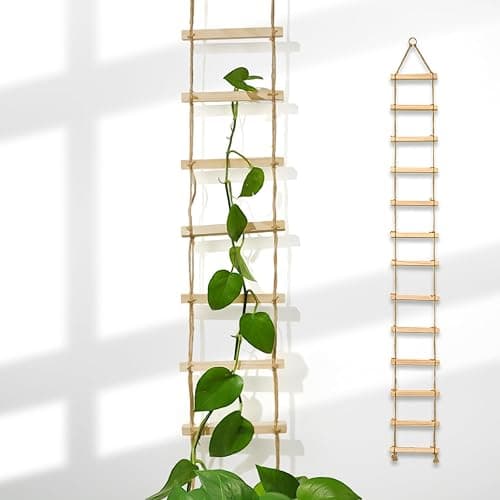 Goooxim Plant Ladder Indoor Plants Hanging Wooden Trellis Vine Support | Chain Trellis for Potted Plants Easy Installation Wall Holders for Climbing Vines Design for Pothos & Ivy Decor Garden Porch thumbnail 8
