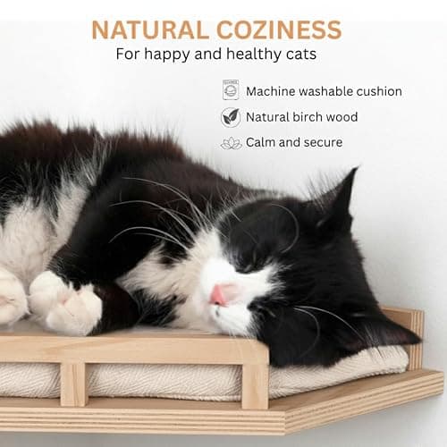INICIO Cat Wall Shelves - Safe and Sturdy Cat Wall Furniture - Stylish Natural Wood Corner Shelf with 3 Steps for Cats up to 15lbs - Cushioned Perch and Stairs for Climbing and Playing thumbnail 5