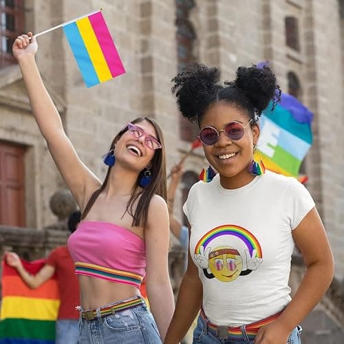 Pansexual Flag Pan Flag, Small Mini Hand Held Pansexual Pride Flags on Sticks for Parades Parties Festivals Decorations thumbnail 6