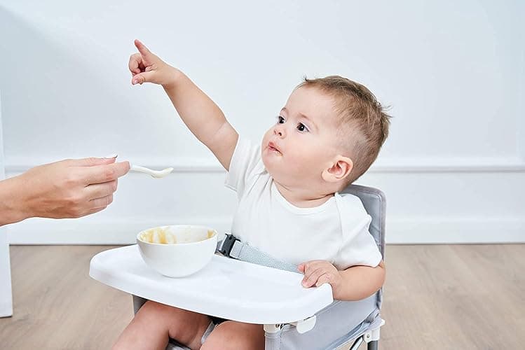 PandaEar Portable Baby Seat Travel Chair| Compact Fold with Straps for Indoor/Outdoor Use| Great for Camping, Beach, Lawn |Toddlers, Kids, Boys, Girls (Neural Seat) thumbnail 9