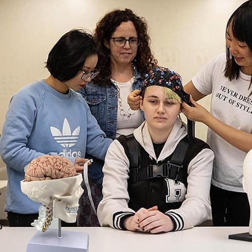 Human Skull and Brain Anatomy Model Life-Size with Cervical Vertebra & Base for Classroom Medical Neuroscience Anatomy Teaching & Studying thumbnail 7