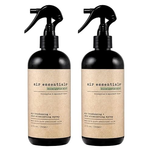Air Essentials 12 oz Air Freshener & Odor Eliminator Spray - Neutralize Odors from Smoke, Pets, Food & Garbage in Homes, Offices & Cars - Made with Clean Essential Oils (Eucalyptus Mint, 2-Pack) - Image 1