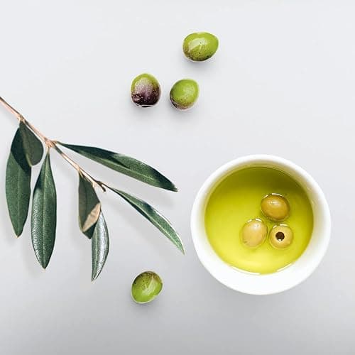 Eco Style ECOCO Style Gel Olive Oil-100% Pure Olive Oil-Adds Shine And Tames Split Ends-Weightless Style-Nourishes And Repairs-Adds Moisture To The Scalp-Superior Hold-Healthy Shine-16 Oz thumbnail 7