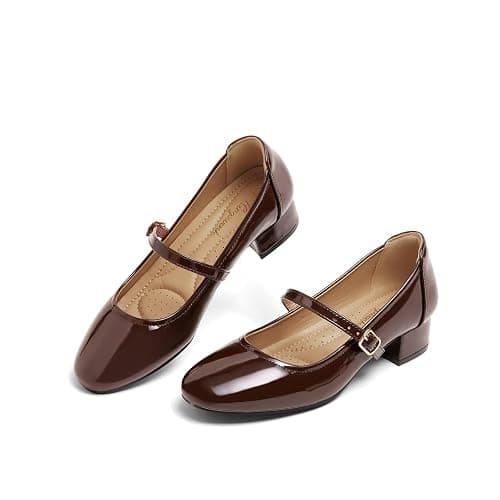 hingswink Mary Jane Shoes Women Low Heels Dress Shoes Pumps Low Heel 2 Inch Chunky Heel Mary Janes Pumps with Adjustable Ankle Strap for Women Dressy Casual - Image 1