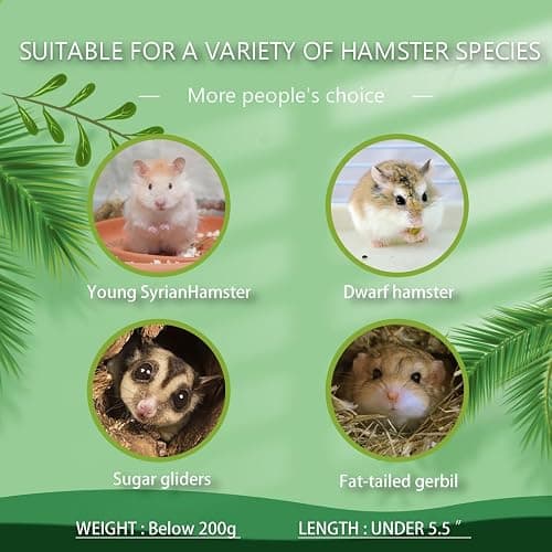 Hamster Forest Lookout Wood House Fun House Double-Decker Hut for Young Dwarf Gerbil Mouse Mice Rat Small Animals(Size Only for Small Hamster) thumbnail 3