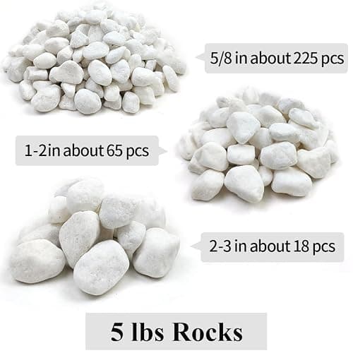 YISZM 5lb White Pebbles for Indoor Plants, 1-2 Inch Natural River Rocks, Snow White Decorative Stones, Ideal for Fish Tank, Vases, Crafting, Home Decor and Garden Landscaping Rocks thumbnail 3