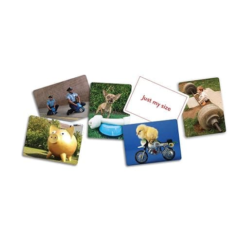 PicWits! Board Game thumbnail 8