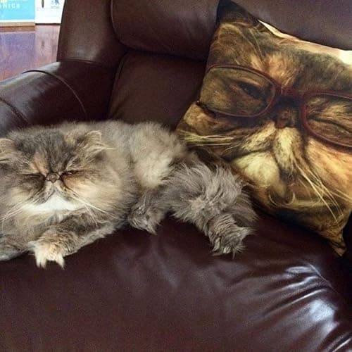 RR&DDXU Design Image or Text of Customize Pillowcase, Personalized Mother's Gifts Throw Pillow, Pet Photo Pillow Cover, Love Photo Pillowcase, Wedding Keepsake Throw Pillow thumbnail 8