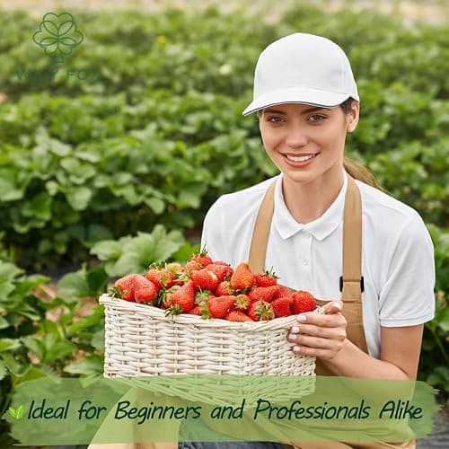 Rare Strawberry Seeds for Planting – 300 Non-GMO Heirloom Seeds - Extra Big, Juicy, Sweet Strawberries thumbnail 6