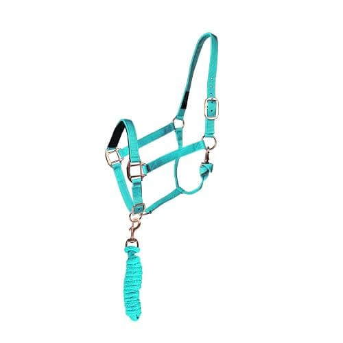 Majestic Ally Halter with Lead Rope for Horses–Adjustable Chin and Crown–Rolled Throat Latch with Replaceable Snap–Padded Noseband–Heavy Duty Rose Gold Finish Hardware thumbnail 2