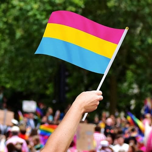 Pansexual Flag Pan Flag, Small Mini Hand Held Pansexual Pride Flags on Sticks for Parades Parties Festivals Decorations thumbnail 2