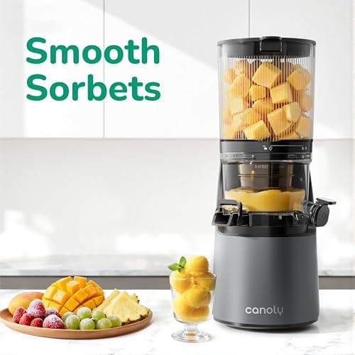 Canoly C16 Cold Press Juicer, with a 6" Wide Chute & Self-Precut, 3-in-1 Strainers (Juice & Sorbet & Nut Milk), BPA-Free Construction, Powered by a AC Brushless Motor (Space Gray) thumbnail 7